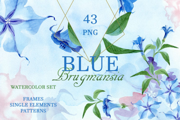 Blue Brugmansia Watercolor Illustrations