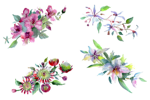 Bouquet of Flowers Moulin Rouge Watercolor Illustrations