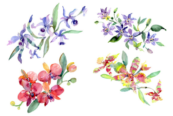 Bouquet of Flowers Queen of Love Watercolor Illustrations