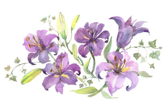 Bouquet with Purple Lilies Watercolor Illustrations
