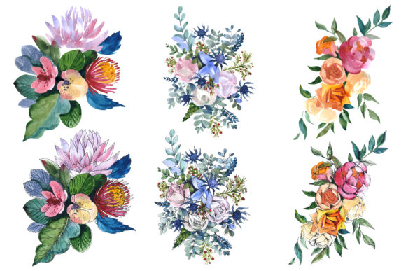 Bouquets with Wildflowers, Roses Watercolor Illustrations