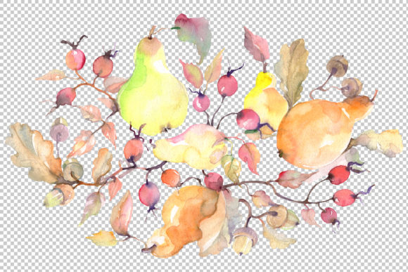 Branch of Pears Watercolor Illustrations Review