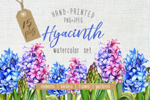 Colorful Hyacinth Watercolor Set Illustrations