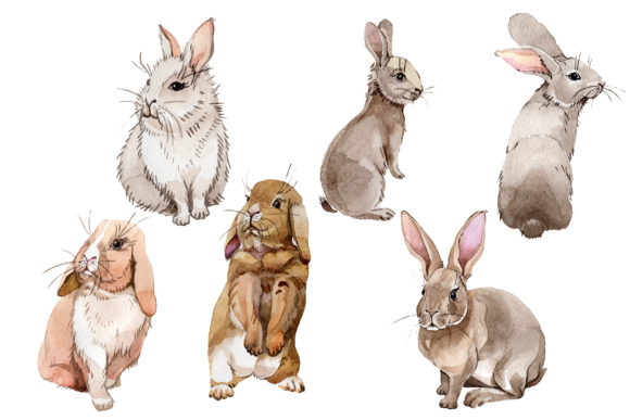 Easter Bunny Watercolor: A Designer's Stitch Review