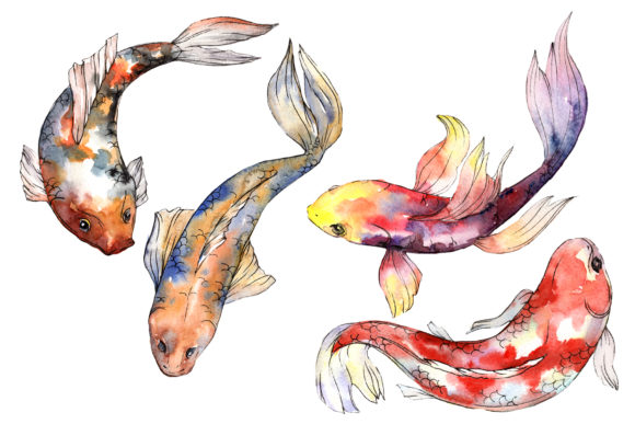 Fairy Goldfish Watercolor Illustrations