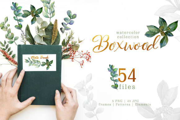 Green Watercolor Boxwood Illustrations Review
