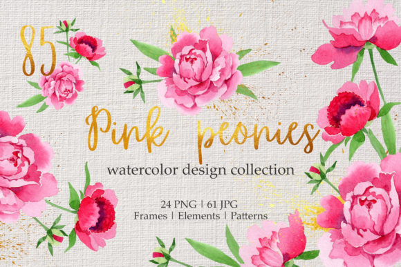 Legendary Pink Peonies Watercolor Illustrations