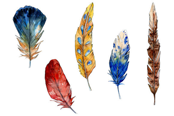 Magic Feather Dream Watercolor Illustrations