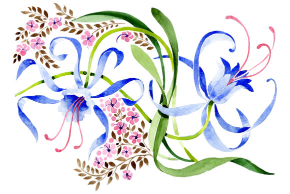 Ornament from a Flower Plant Watercolor Illustrations