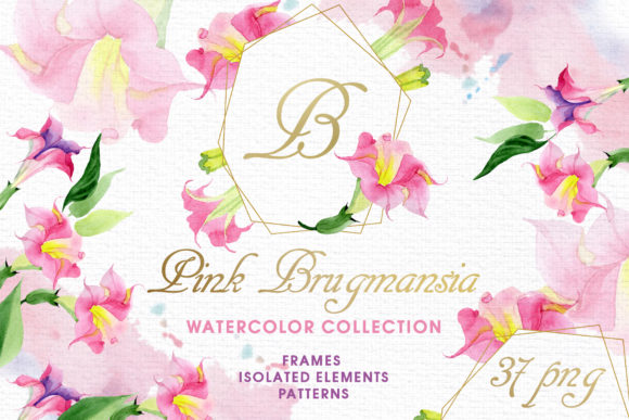 Pink Brugmansia Watercolor Png: A Designer Review