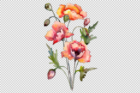 Reviewing Bouquet of Red Poppies Watercolor Set