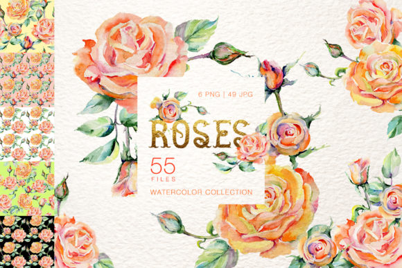 Stylish Rose Watercolor: Editorial Illustrations