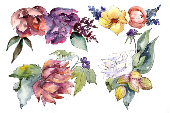 Succulent Tropical Flowers Watercolor Set Illustrations