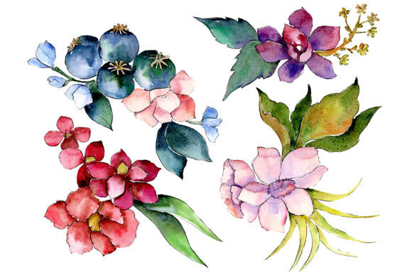 Tropical Flower Watercolor Illustrations