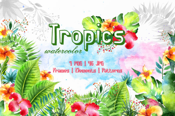 Tropics Watercolor Illustrations Review