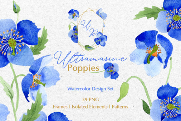 Ultramarine Blue Poppies Watercolor Png Illustrations