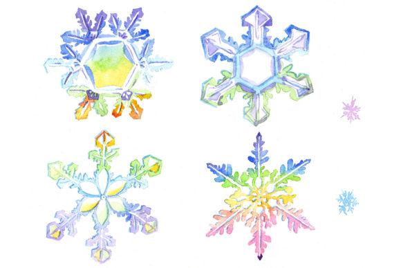 Watercolor Snowflakes Illustrations Review