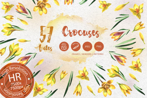 Yellow Crocuses Watercolor Flower Set Review